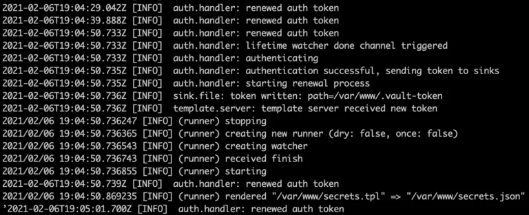 Vault logs